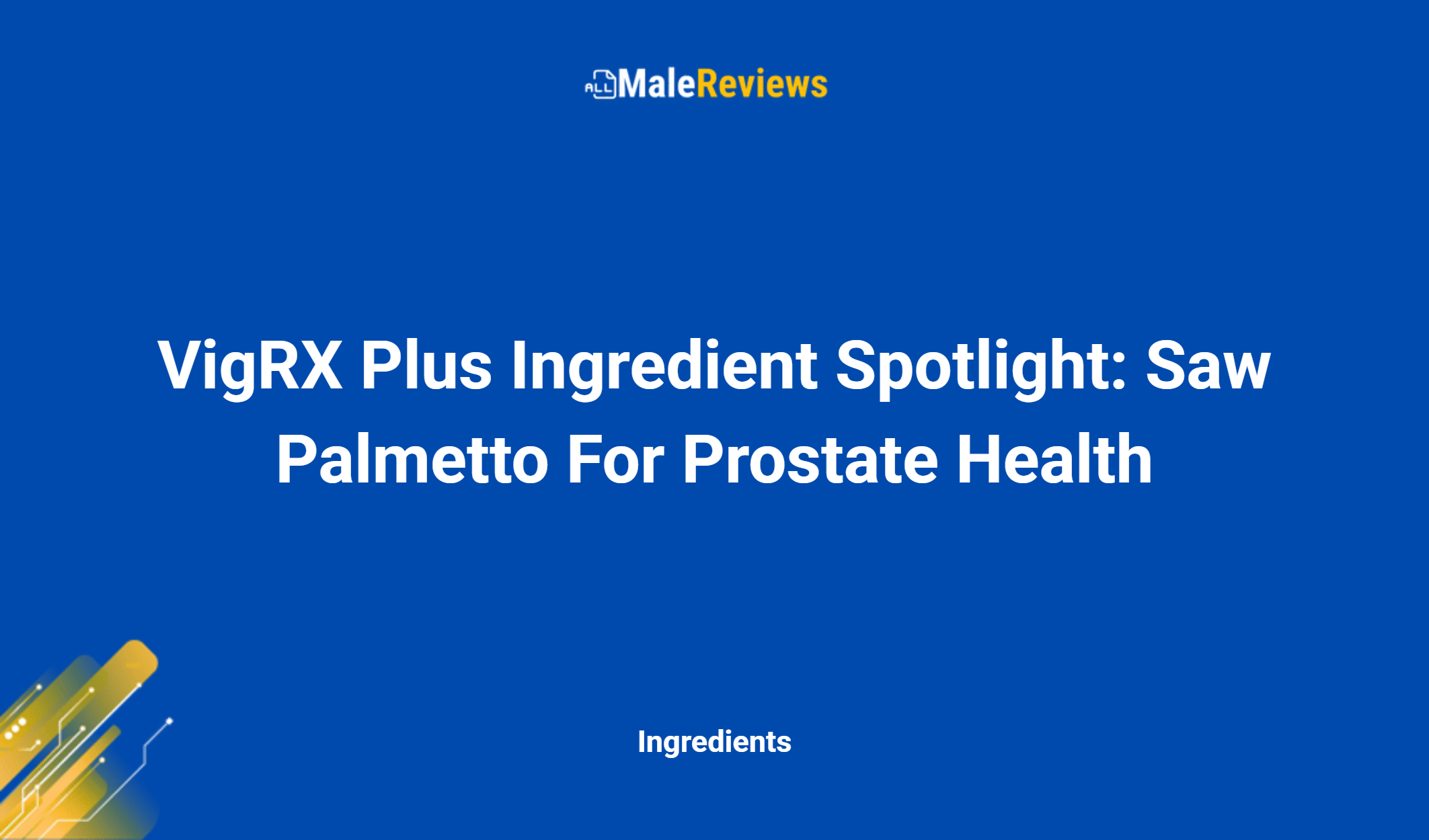 Vigrx Plus Ingredient Spotlight: Saw Palmetto For Prostate Health